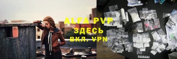 крисы Алексин