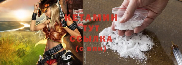 крисы Алексин