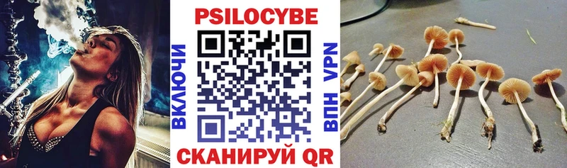 купить   Удачный  даркнет какой сайт  Галлюциногенные грибы ЛСД 
